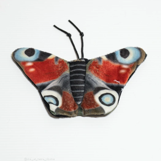 P'tit Papillon pour chat Visuel 1 principal